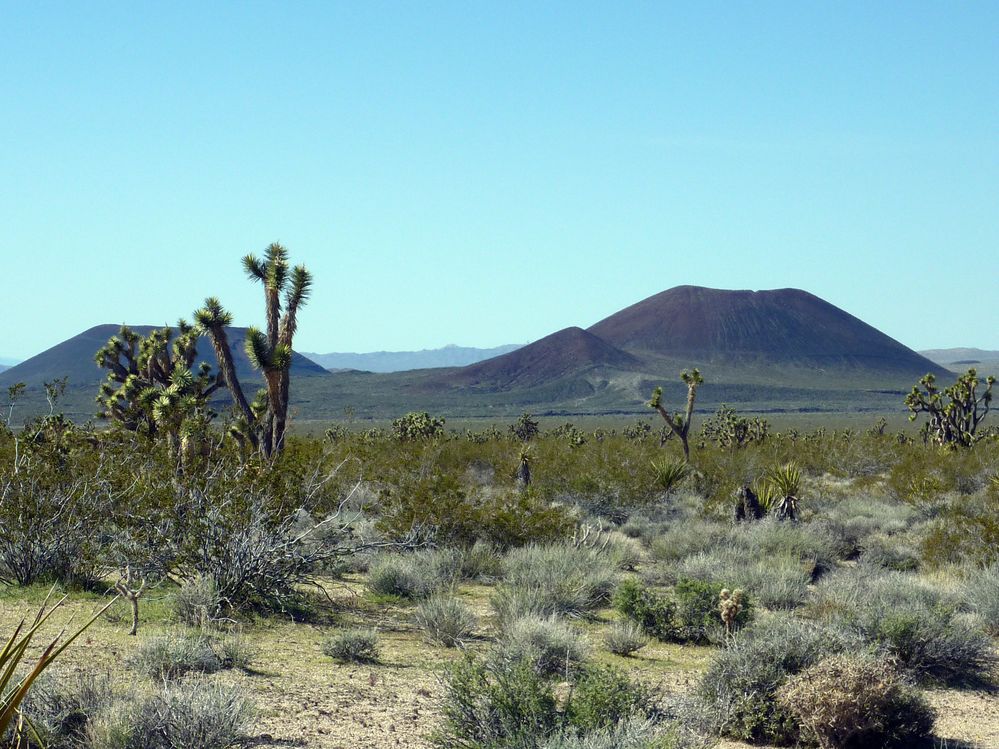 Mojave reserve (33).JPG